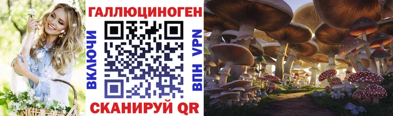 Купить закладки  Сорск  Псилоцибиновые грибы мицелий 